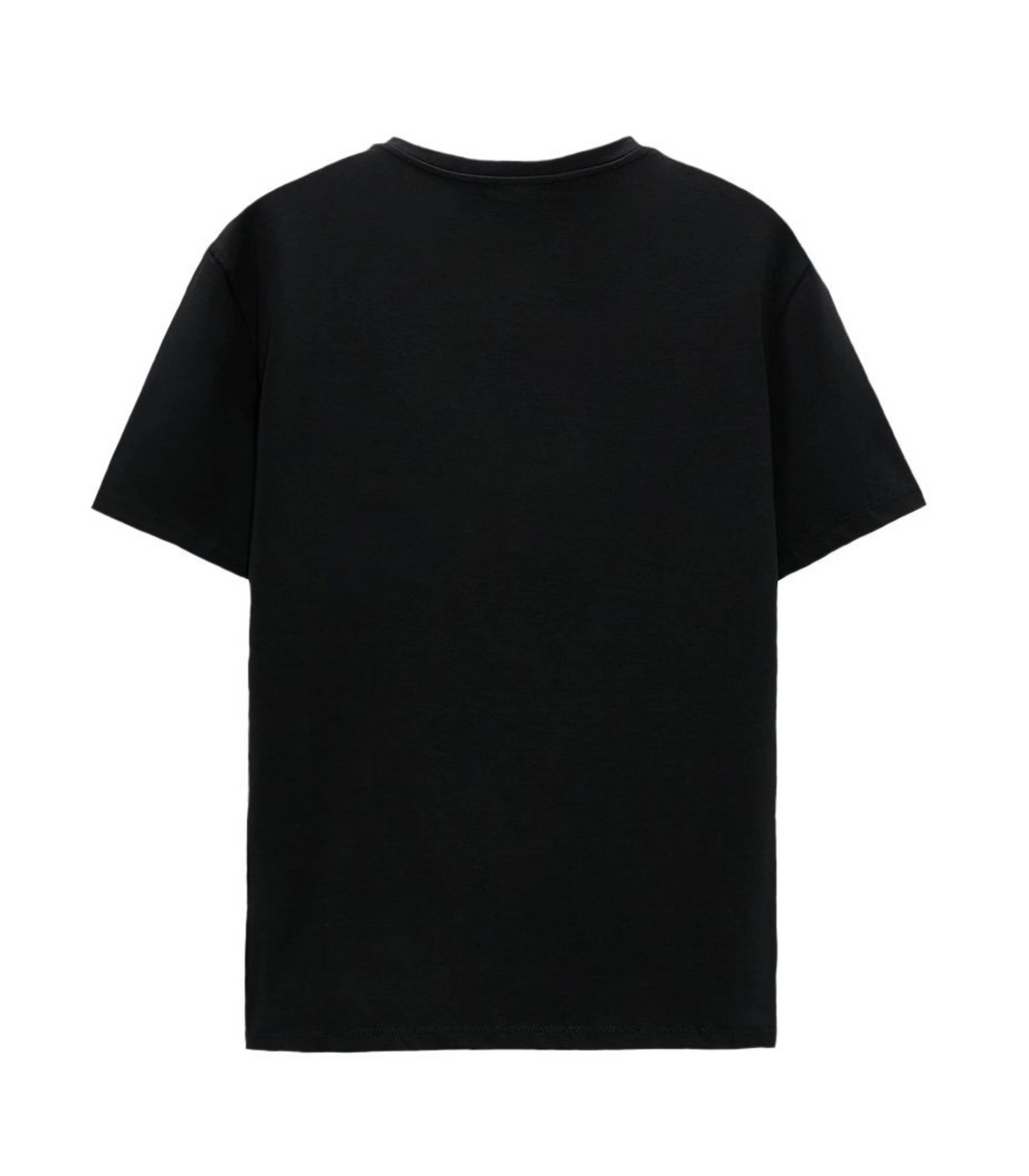 Men’s black cotton t-shirt from RidderStone – minimal, soft fabric with classic fit for daily wear
